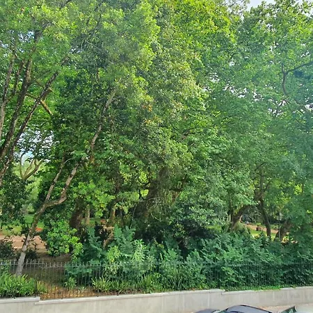 Caldas Da Rainha's & White Апартаменты Калдаш-да-Раинья