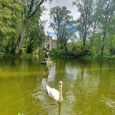 Caldas Da Rainha's & White