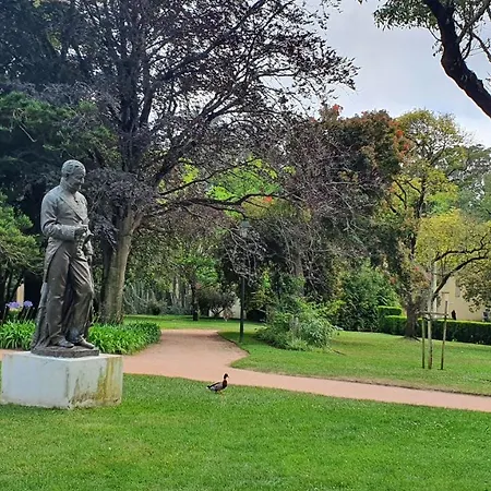 Caldas Da Rainha's & White * Калдаш-да-Раинья