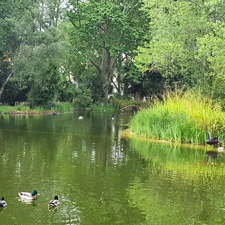 Apartmán Caldas Da Rainha's & White Caldas Da Rainha