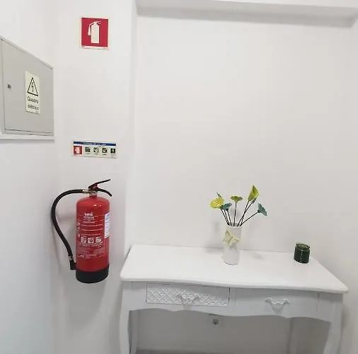 Caldas Da Rainha's & White 卡尔达斯达·赖尼亚