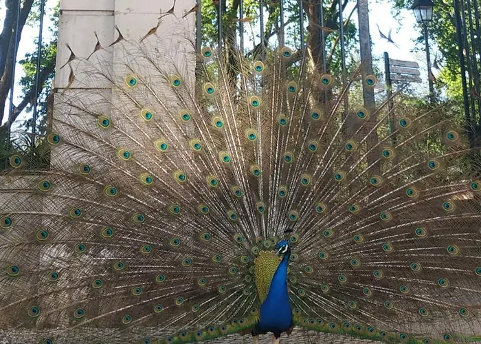 公寓 Caldas Da Rainha's & White