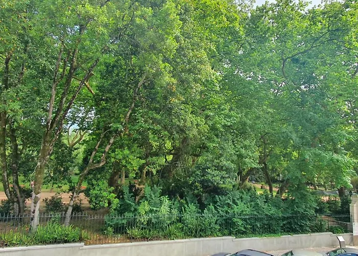 Caldas Da Rainha's & White 公寓 卡尔达斯达·赖尼亚