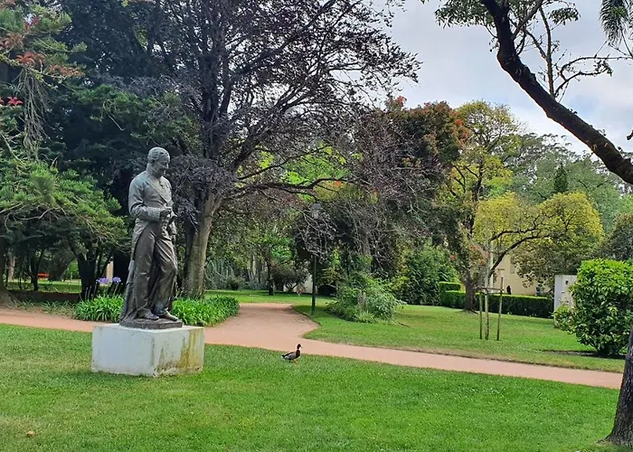 Caldas Da Rainha's & White * 卡尔达斯达·赖尼亚